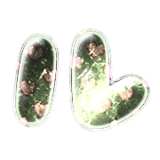 121