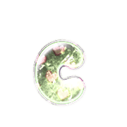 190