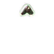 231