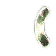 234