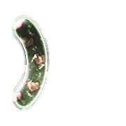 235
