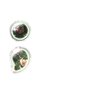 243