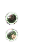 244