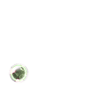 246