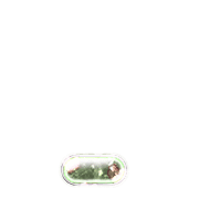 250