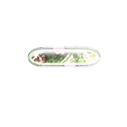251