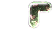 254