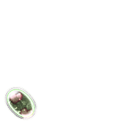 256