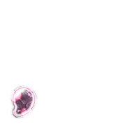 245