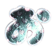 005
