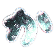006