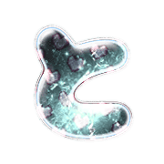 020