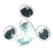 028
