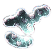 061