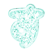 013