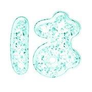 026