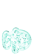 054