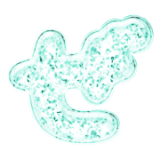 064