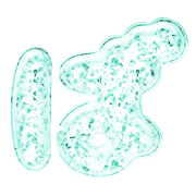 071