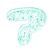 081