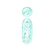 196
