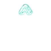 231