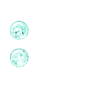 244