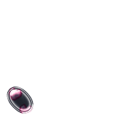 256
