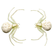 010