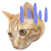 019