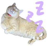 021