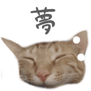 025