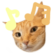 031