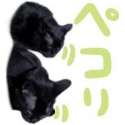032
