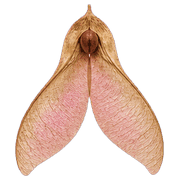 025