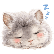 002