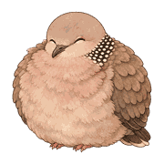 009