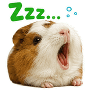 010