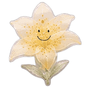 004