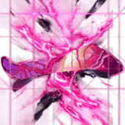 016