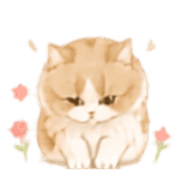 007
