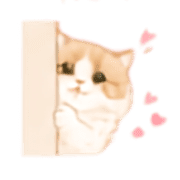 025