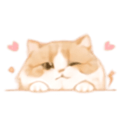 032