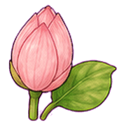 004