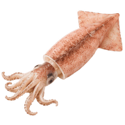 029
