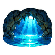 005