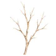 014