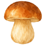 019