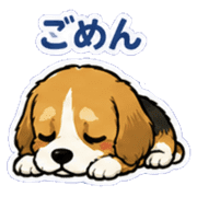 020