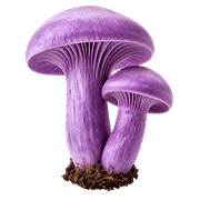 027